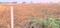 Others image of 9054.0 Sq.ft   Commercial Plot for sale in Govardhan for 50300000