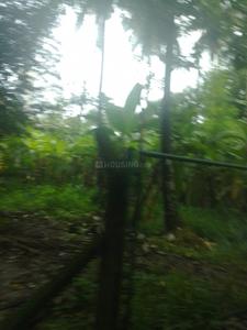 Commercial Plot