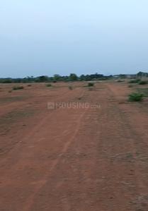 Commercial Plot