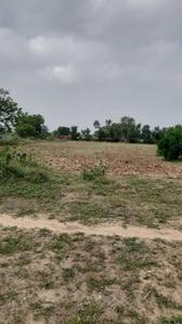 Commercial Plot
