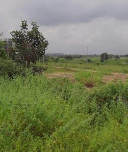 Others image of 1800.0 Sq.ft   Commercial Plot for sale in Wangapalli for 2200000