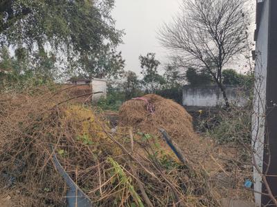 Commercial Plot