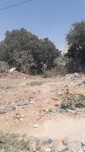 Others image of 2400.0 Sq.ft   Commercial Plot for sale in Singasandra for 30000000