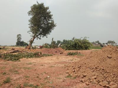 Others image of 5652.0 Sq.ft   Commercial Plot for sale in Barwala for 6908000