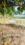 Others image of 605.0 Sq.ft   Commercial Plot for sale in Vada for 450000