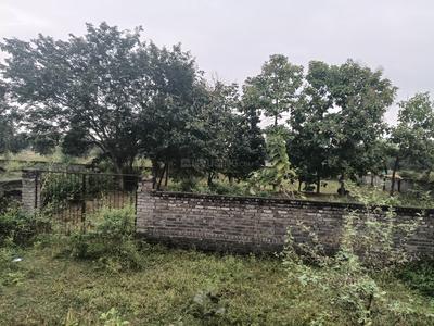 Commercial Plot