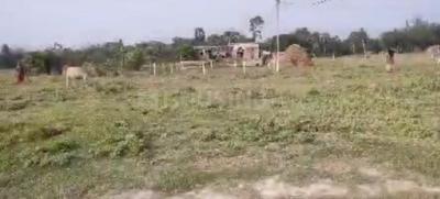 Commercial Plot