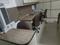 Others image of 500.0 Sq.ft  Ready to use Office Space for rent in Malad West for 70000