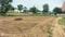 Others image of 765.0 Sq.ft   Commercial Plot for rent in Vaishali Nagar Extension for 35000