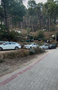 Others image of 700.0 Sq.ft   Shop for rent in Kasauli for 100000