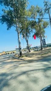 Others image of 54450.0 Sq.ft Commercial Plot for sale in Barwala for 19000000