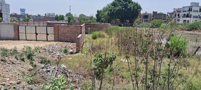 Commercial Plot