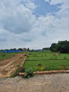 Commercial Plot