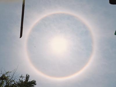 Others image of 1440.0 Sq.ft Warehouse for sale in Sonarpur for 320000