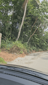 Others image of 4791.0 Sq.ft   Commercial Plot for sale in Edappally for 2500000