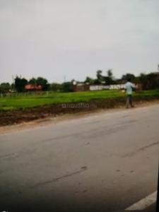Commercial Plot