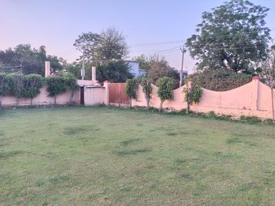Commercial Plot