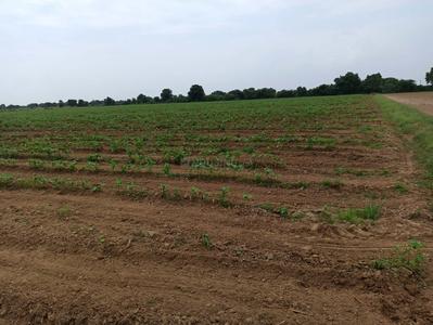 Others image of 43560.0 Sq.ft   Commercial Plot for sale in Becharaji for 1500000