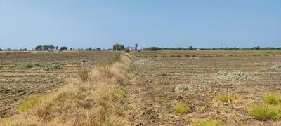 Others image of 49999.0 Sq.ft   Commercial Plot for sale in Bavla for 90000000