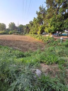 Commercial Plot