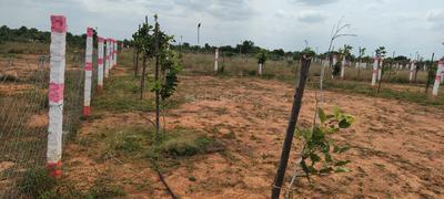 Others image of 2400.0 Sq.ft   Commercial Plot for sale in Vengal for 1920000