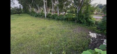 Commercial Plot