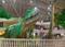 Entrance image of 240.0 Sq.ft   Shop for sale in Beta II for 6000000