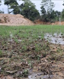 Commercial Plot