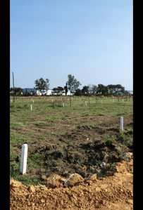 Others image of 11000.0 Sq.ft   Commercial Plot for rent in Shastri Nagar for 90000