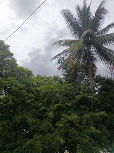 Others image of 2400.0 Sq.ft   Commercial Plot for sale in Kalyan Nagar for 67200000