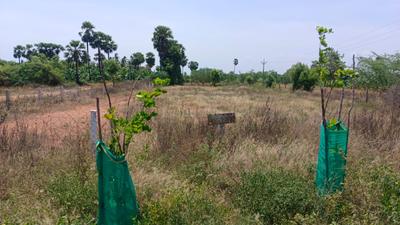 Commercial Plot