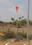 Others image of 54500.0 Sq.ft   Commercial Plot for rent in Lalgadi Malakpet for 1000000