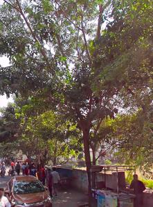 Others image of 9600.0 Sq.ft   Commercial Plot for sale in Aminjikarai for 200000000