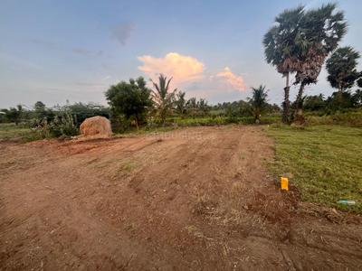 Commercial Plot