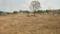 Others image of 43560.0 Sq.ft   Commercial Property for sale in Ambattur Industrial Estate for 35000000