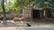 Others image of 3600.0 Sq.ft Commercial Plot for rent in Mirchaibari for 162000