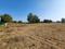 Others image of 40500.0 Sq.ft   Commercial Plot for rent in Thaltej for 765000