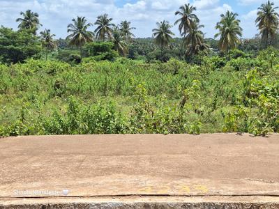 Commercial Plot