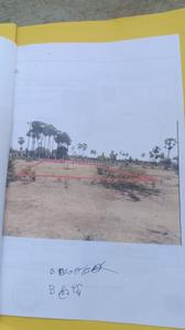 Commercial Plot