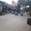 Others image of 1300.0 Sq.ft   Commercial Property for rent in Gokhalenagar for 90000