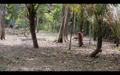 Others image of 49005.0 Sq.ft Commercial Plot for sale in Nagaon for 67500000