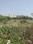 Entrance image of 23000.0 Sq.ft   Commercial Plot for sale in Gomti Nagar for 165600000