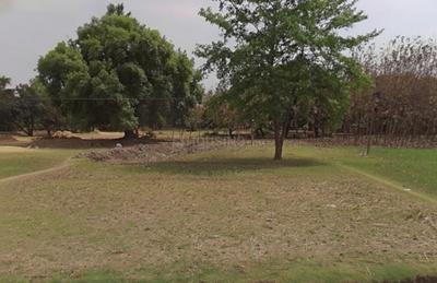 Others image of 6800.0 Sq.ft   Commercial Plot for sale in Naubatpur for 2500000