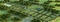 Others image of 1200.0 Sq.ft   Commercial Plot for sale in Suradhenupura for 1417960