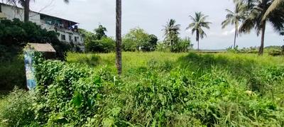 Others image of 45738.0 Sq.ft   Commercial Plot for sale in Puzhakkal for 84000000