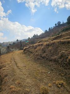 Others image of 1076.0 Sq.ft Commercial Plot for sale in Mukteshwar for 500000