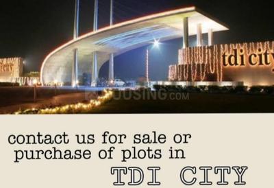 Commercial image of 900.0 Sq.ft   Showroom for sale in TDI City for 3800000