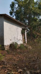 Others image of 10000.0 Sq.ft   Commercial Plot for rent in Kihim for 10000