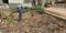 Others image of 2400.0 Sq.ft   Commercial Plot for rent in Chinnamushidiwada for 50000