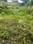 Others image of 8432.0 Sq.ft   Commercial Plot for sale in New Kangra for 13000000